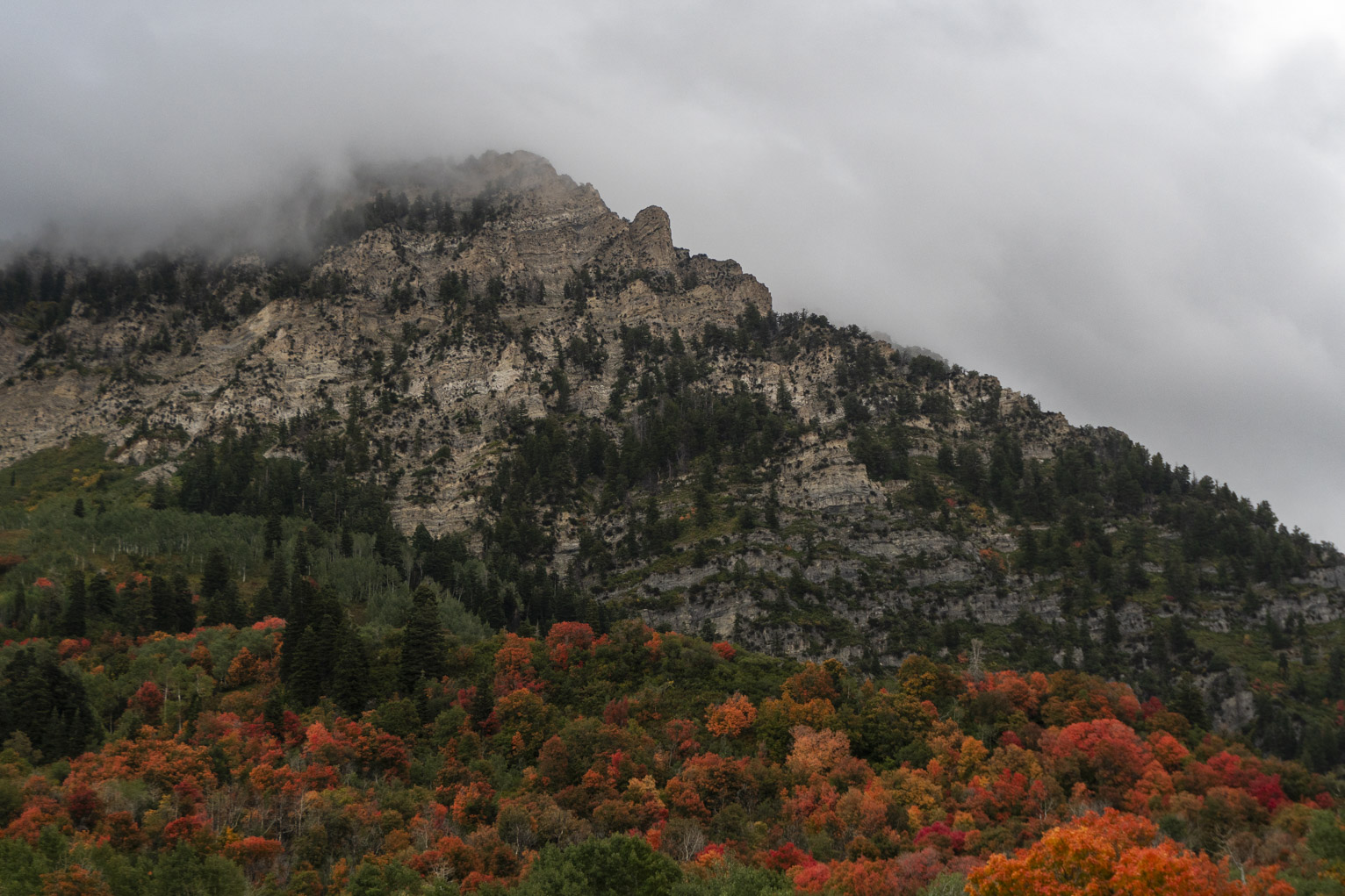 The top of the mountain is lost in clouds, lower in the mountain autumn foliage